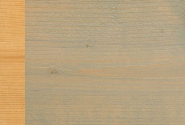 Bilde av Fjellbjørk 102