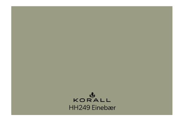 Einebær HH249 Fargechip