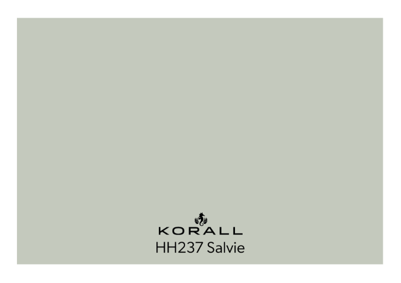 Bilde av Salvie HH237 Fargechip