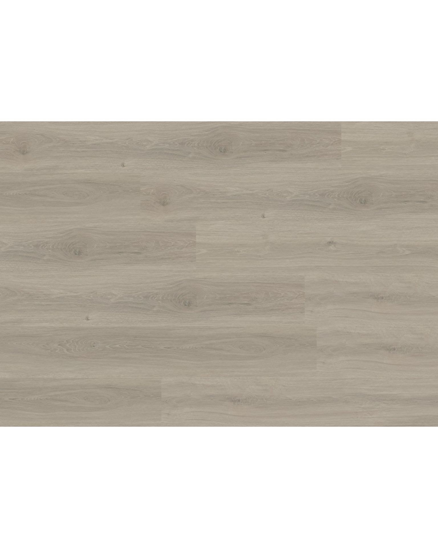Bilde av Klikkvinyl Promo Mushroom