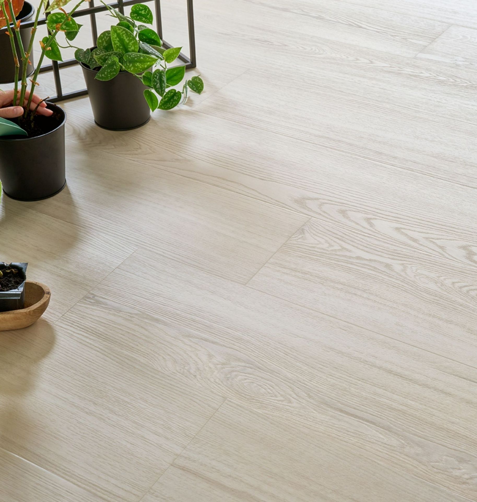 Bilde av Klikkvinyl Woodric Acoustic Eldborg Oak