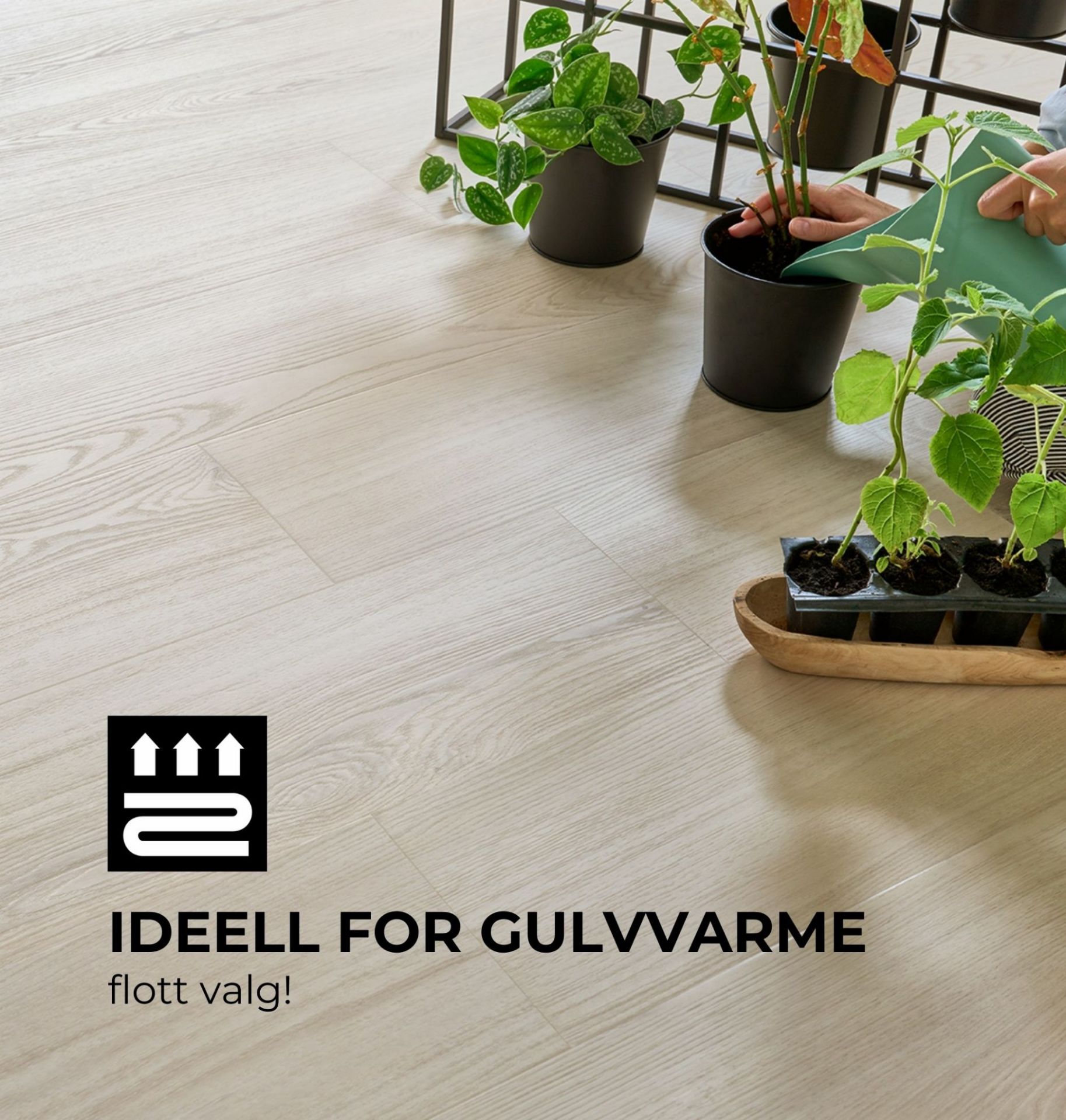 Bilde av Klikkvinyl Woodric Acoustic Eldborg Oak