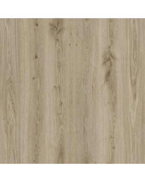 Bilde av Klikkvinyl Essence Rigid 30 Primary Oak Light Gray