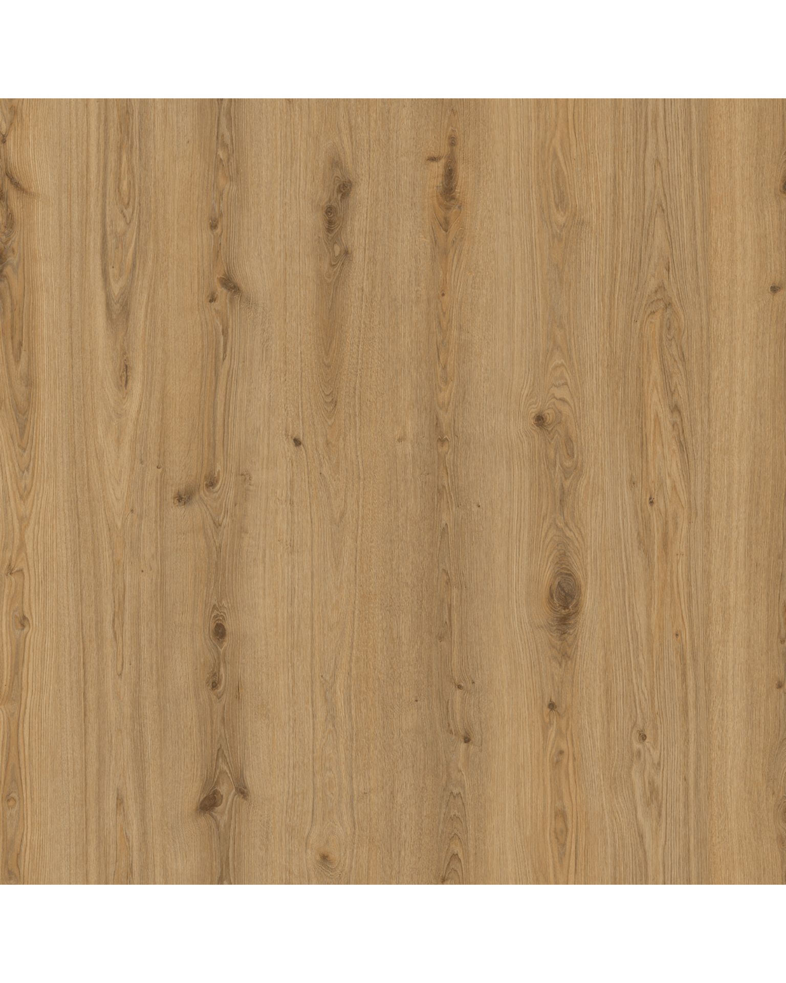Bilde av Klikkvinyl Essence Rigid 30 Primary Oak Natural