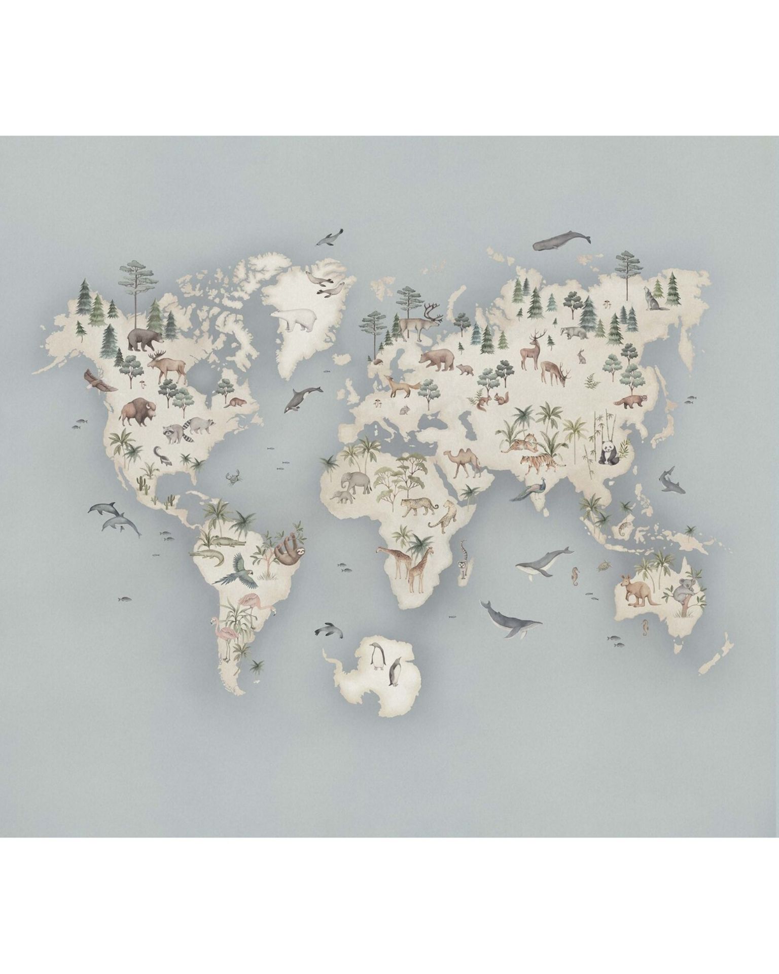 Bilde av Newbie Wallpaper II Little Explorer Mural 6946