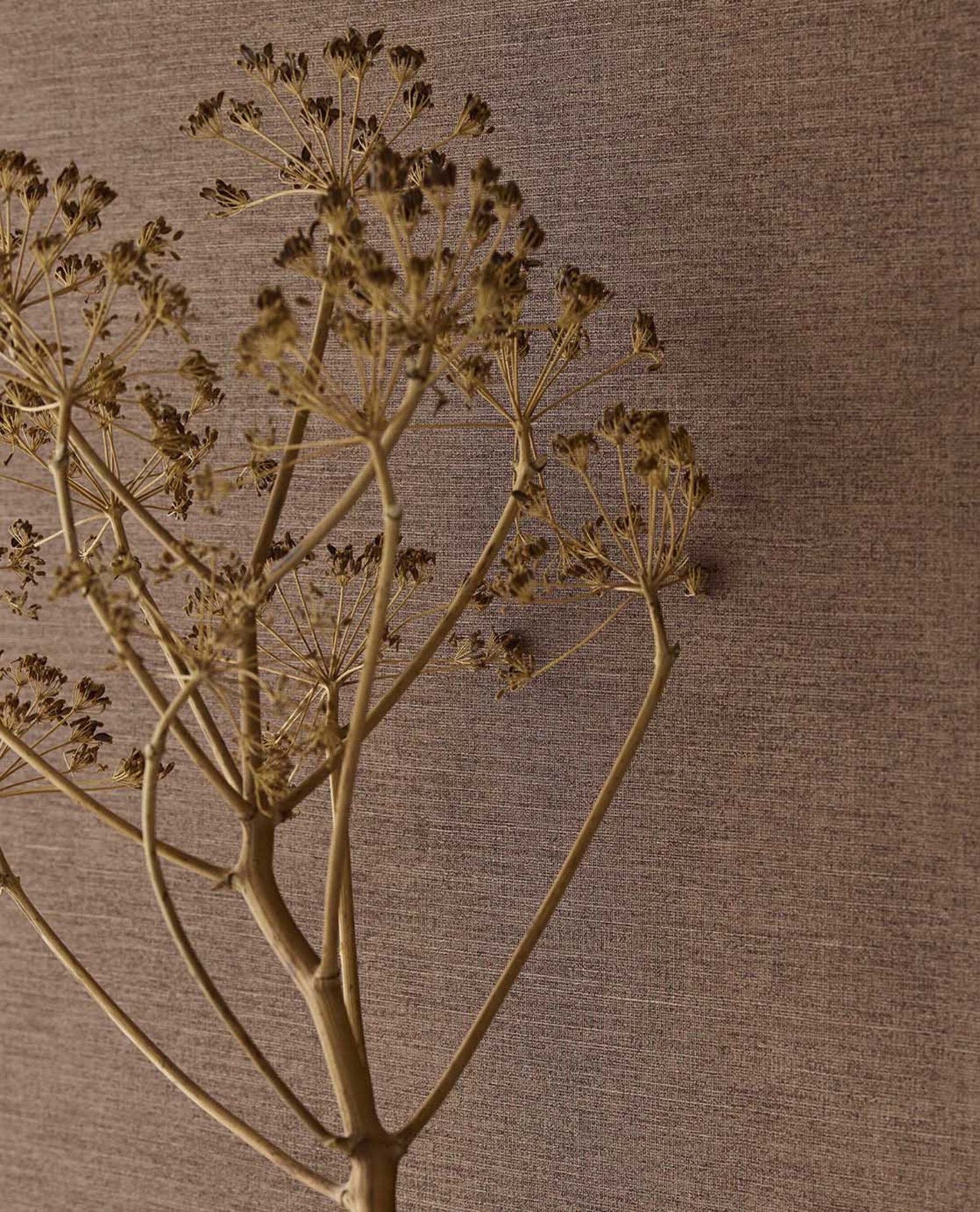 Bilde av Tapet Riviera Maison 350592