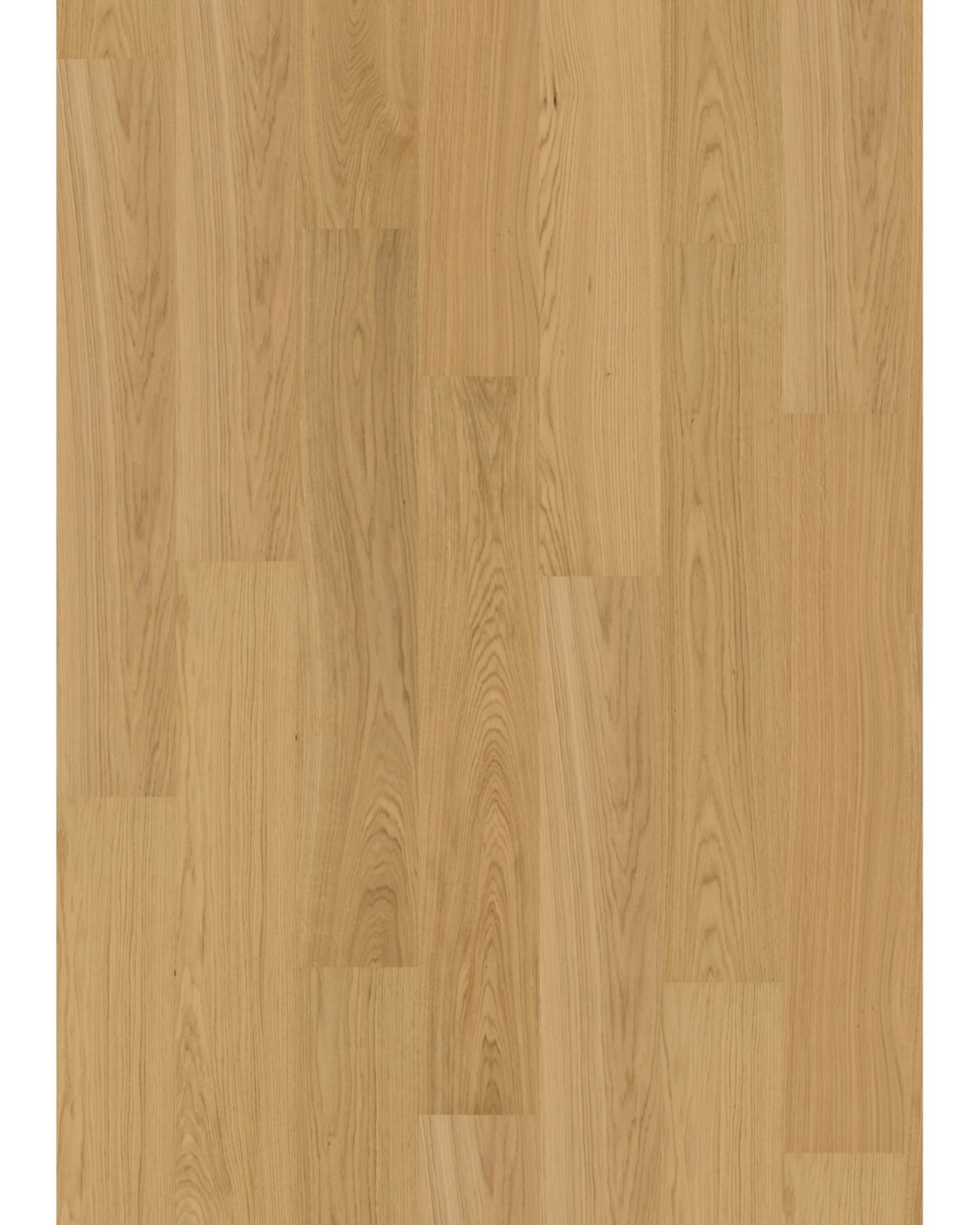 Bilde av Tregulv Maxwood Lodge Ek Natur