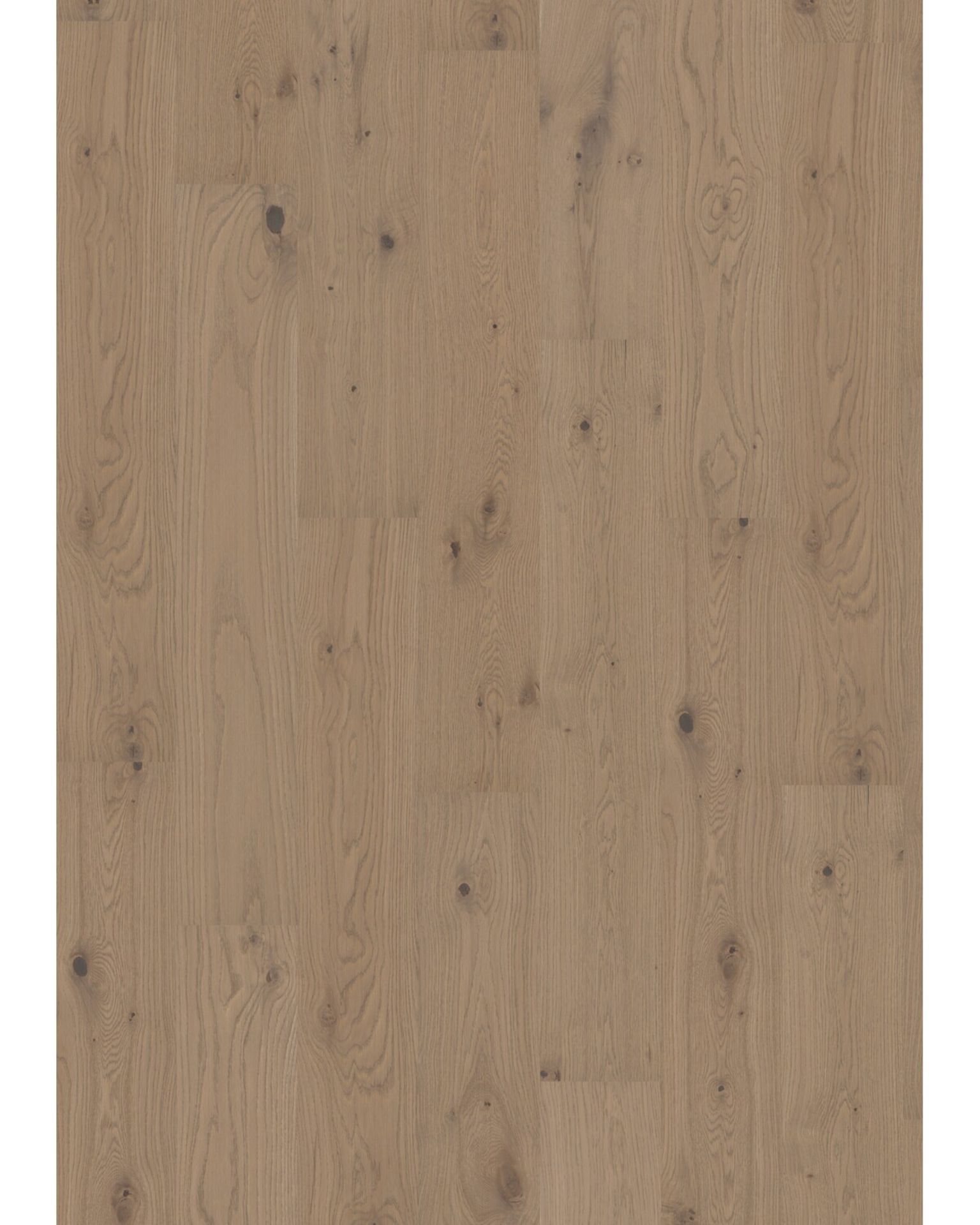 Bilde av Tregulv Maxwood Lodge Ek Unique Elegant Grå