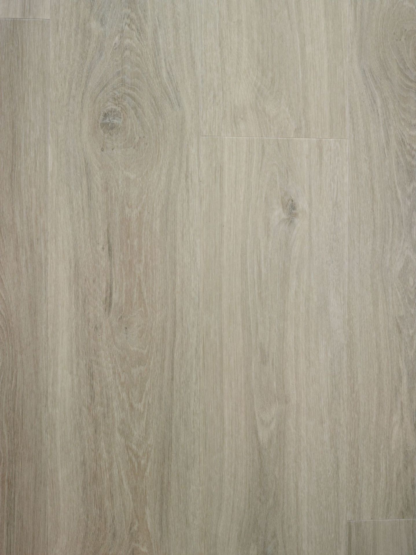 Bilde av Klikkvinyl Promo Mushroom