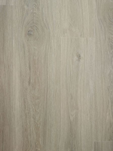 Bilde av Klikkvinyl Promo Mushroom