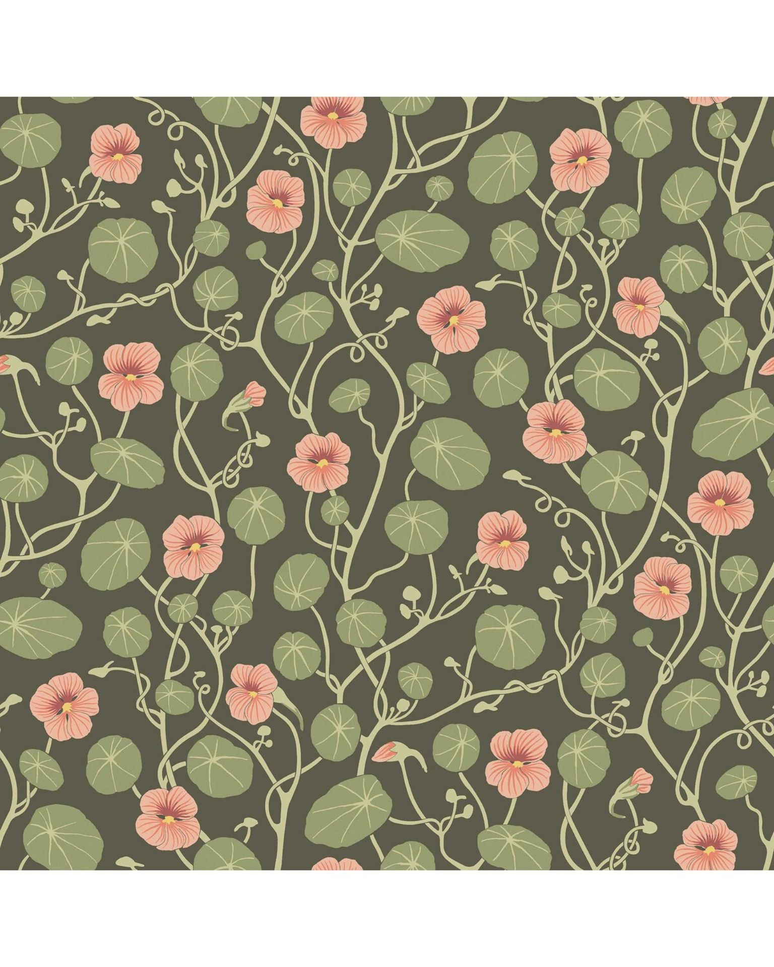 Bilde av Tapet Österlen Krasse 6976