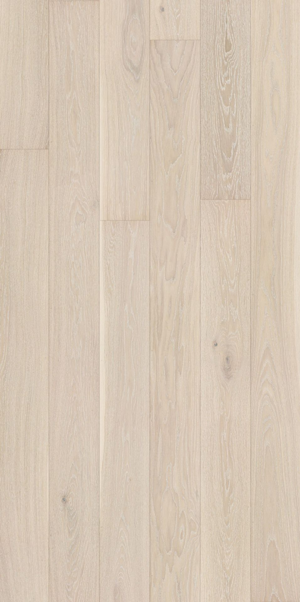 Bilde av Parkett Saga Exclusive Cream Eik 5Gc
