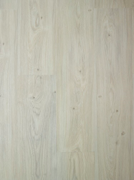 Bilde av Klikkvinyl Promo Elegant