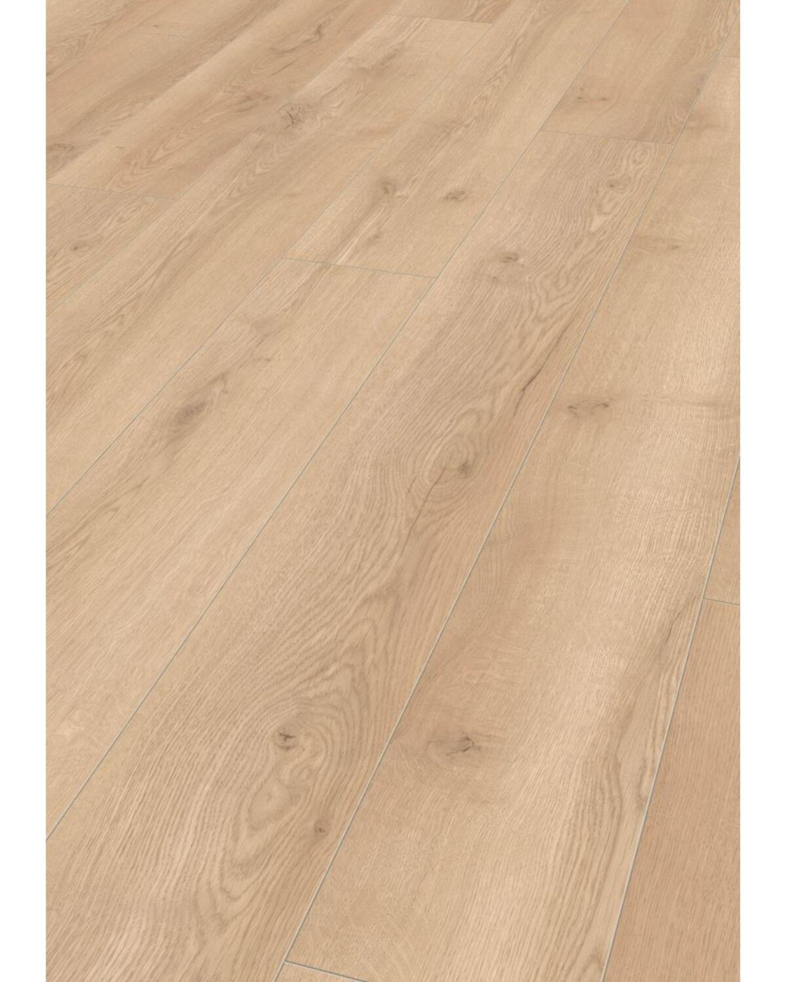 Bilde av Laminatgulv Mammut MGC 41622 Mountain Eik Silver