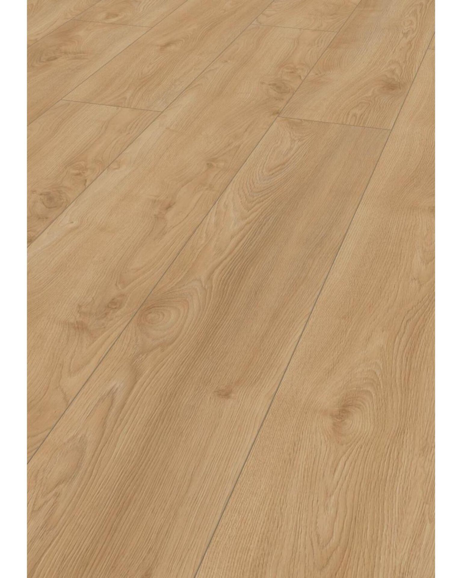 Bilde av Laminatgulv Mammut Plus MGC 41642 Macro Eik Silver