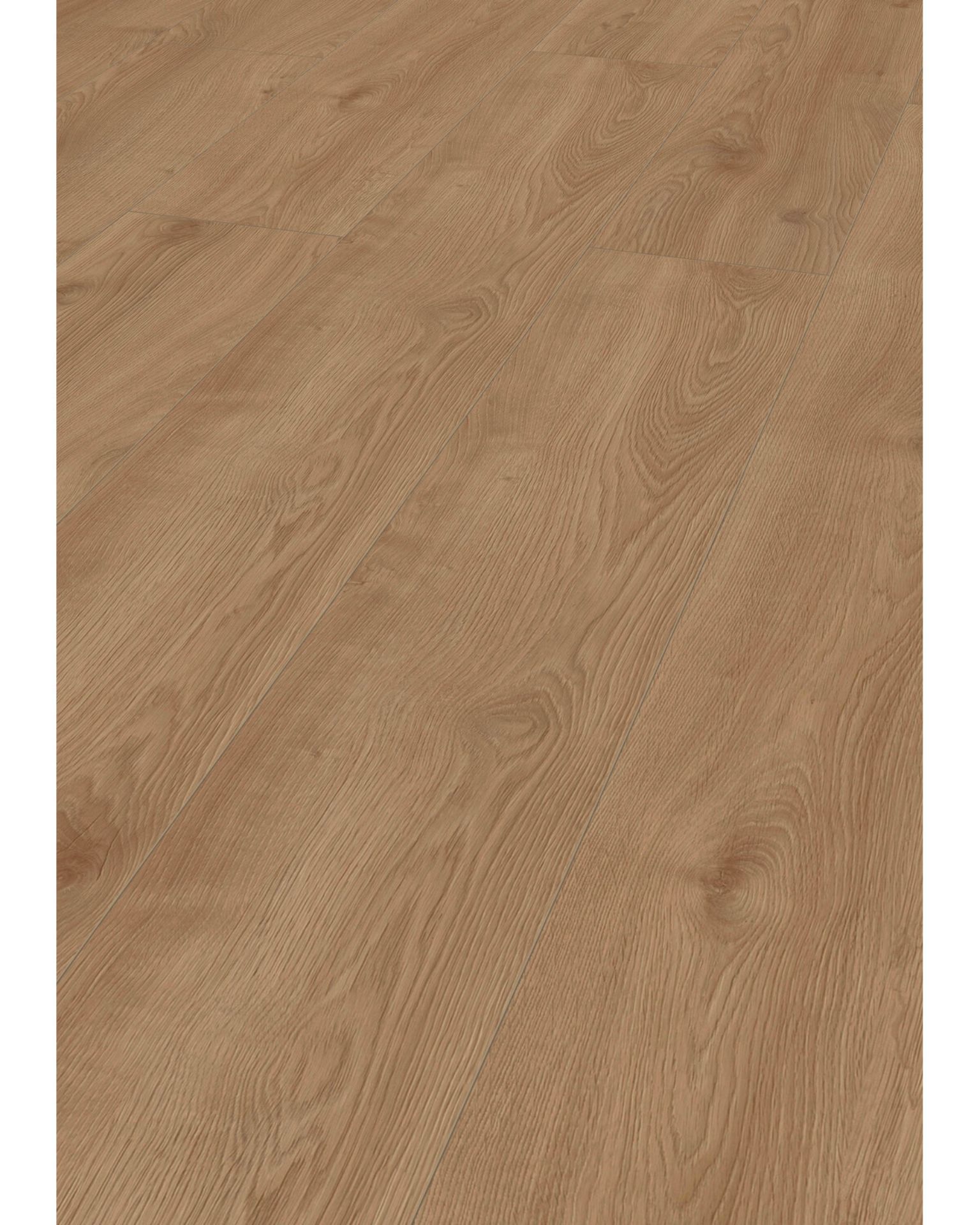 Bilde av Laminatgulv Mammut Plus MGC 41632 Macro Eik Gold