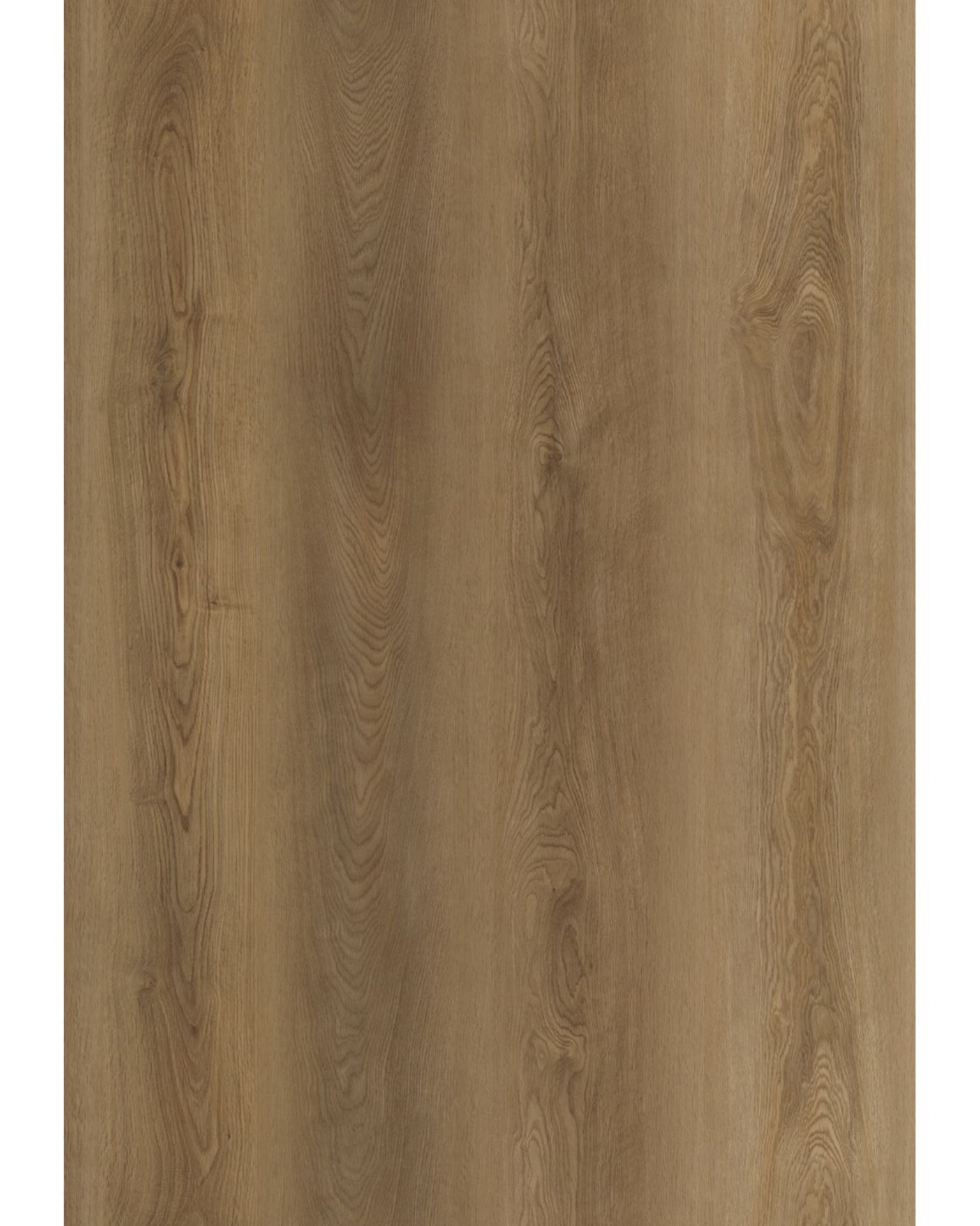 Bilde av Klikkvinyl Essentials Rigid XXL Astera Eik