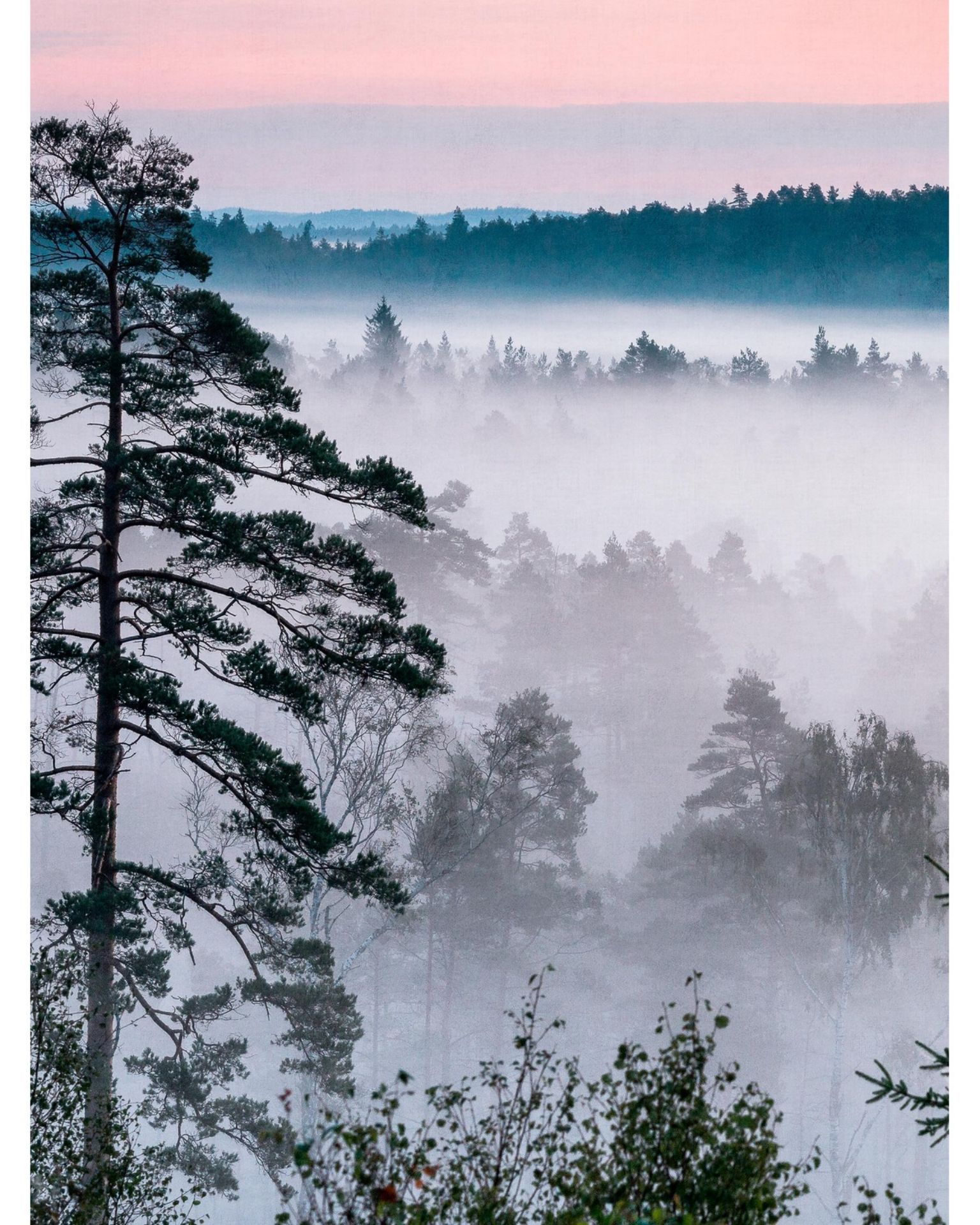 Bilde av Prøve Fibertapet Bt Studio 9778W
