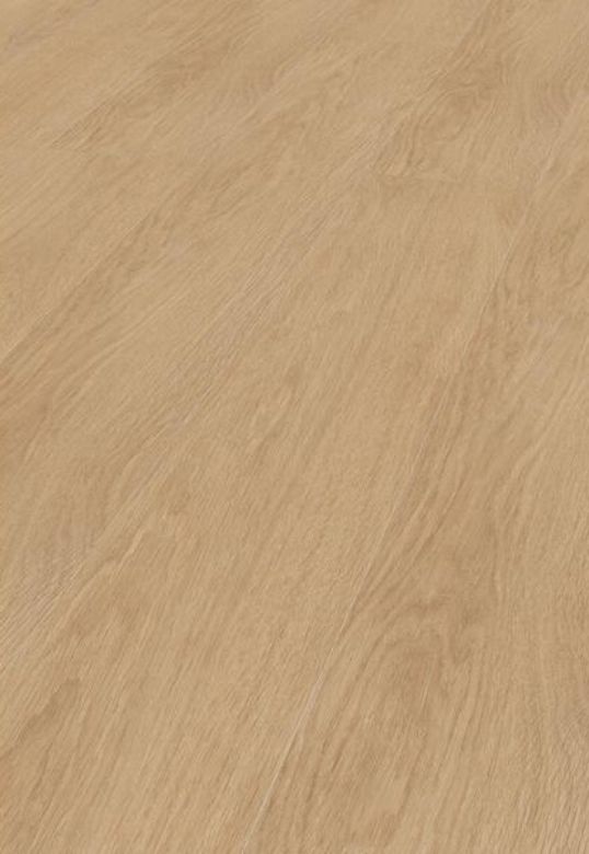 Bilde av Laminatgulv Mammut Plus 81162 Elegance Eik Crem