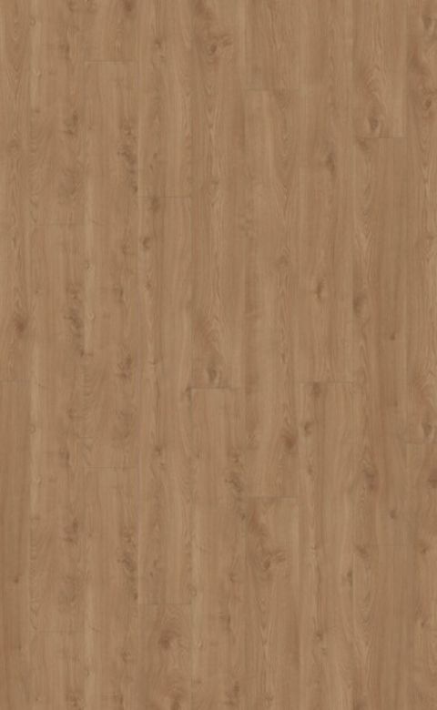 Bilde av Laminatgulv Mammut Plus MGC 41632 Macro Eik Gold