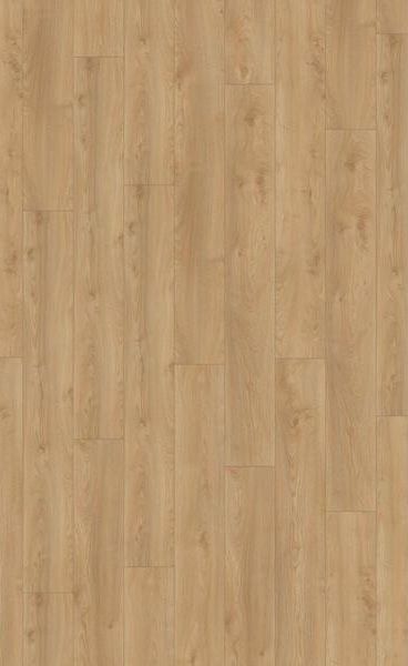 Bilde av Laminatgulv Mammut Plus MGC 41642 Macro Eik Silver
