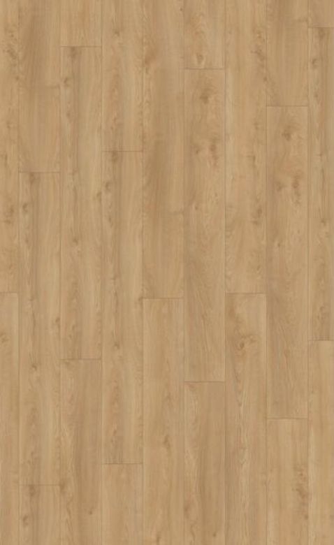 Bilde av Laminatgulv Mammut Plus MGC 41642 Macro Eik Silver