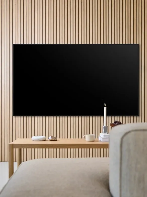 Bilde av Fjell TV-feste (stort)