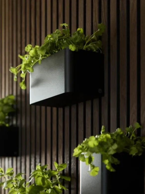 Bilde av Norr plantekasse - 239 mm - sort